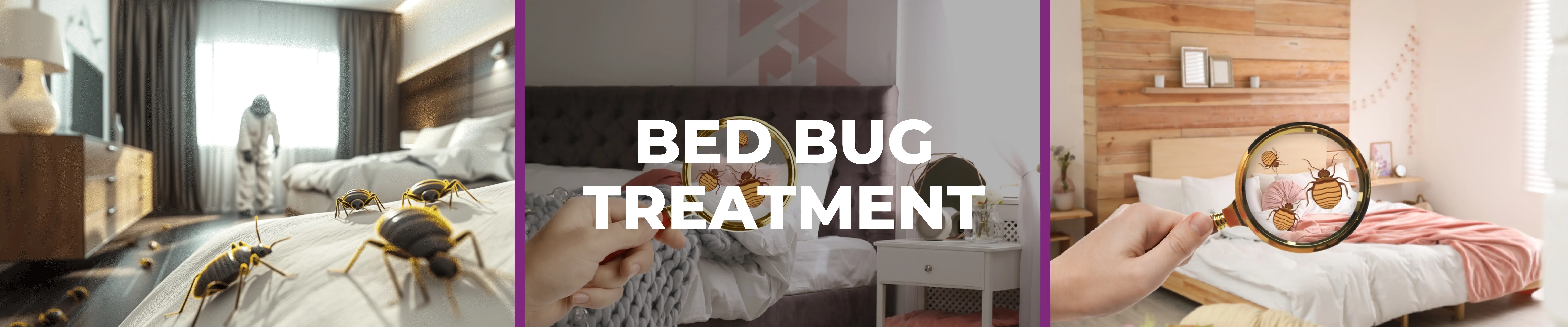 carpet cleaning in new york, carpet cleaning new york, carpet cleaners in new york, carpet cleaners in new york, commercial carpet cleaning, commercial carpet cleaning in new york, new york rug cleaners, rug cleaning services in new york, same day carpet cleaning, same day rug cleaning in new york