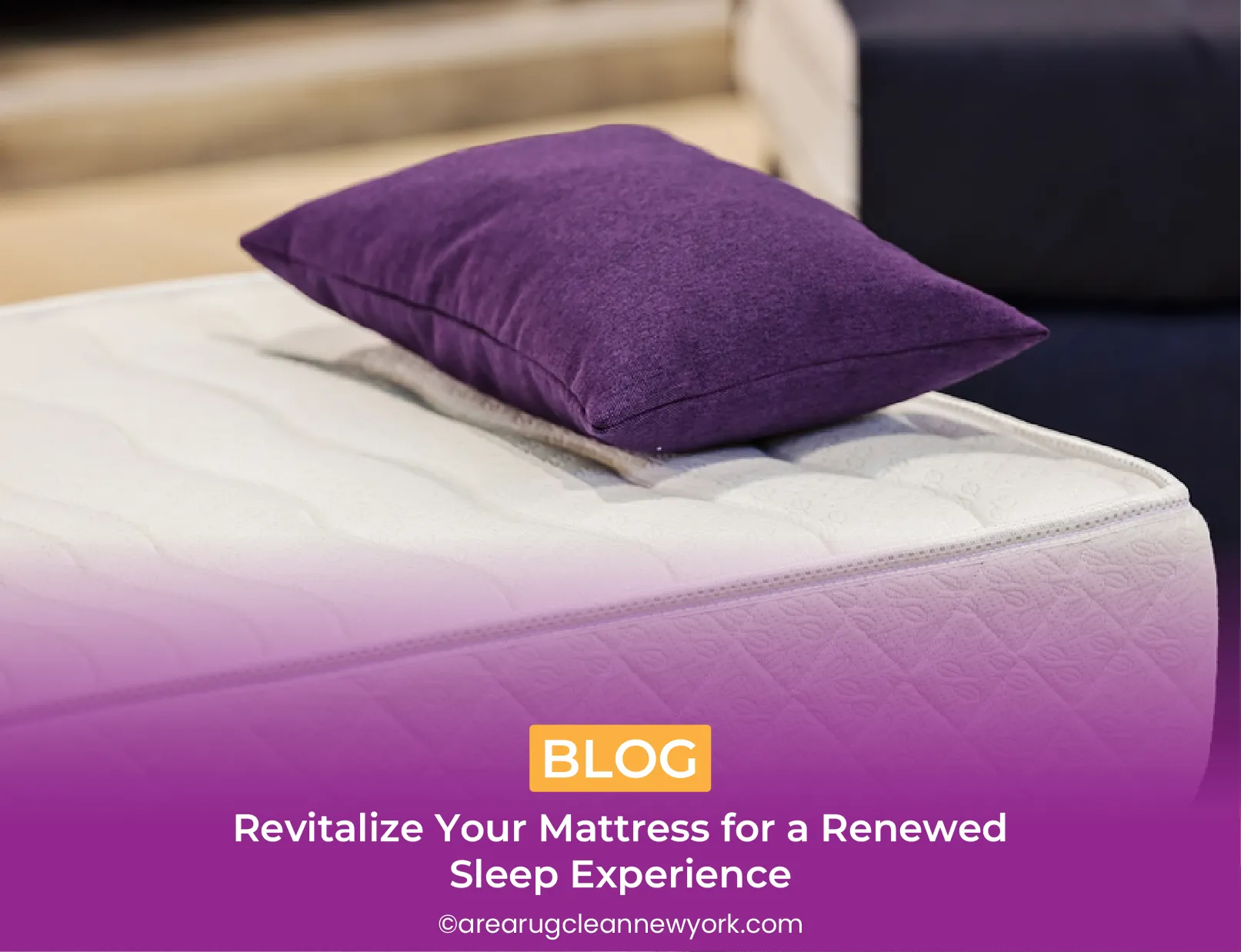 carpet cleaning in new york, carpet cleaning new york, carpet cleaners in new york, carpet cleaners in new york, commercial carpet cleaning, commercial carpet cleaning in new york, new york rug cleaners, rug cleaning services in new york, same day carpet cleaning, same day rug cleaning in new york